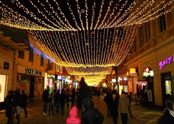 Apartment Bia Studio Republicii *